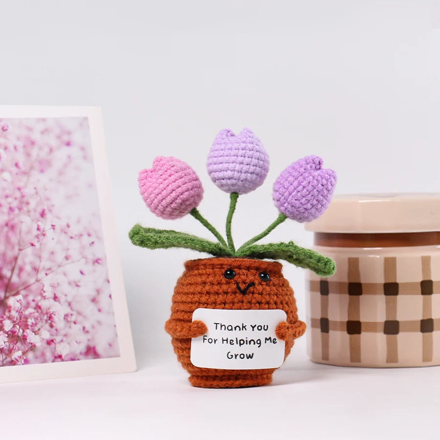 33 Styles Crochet potted tabletop Words of encouragement forget-me-not crochet orange convolia heart-warming ornament