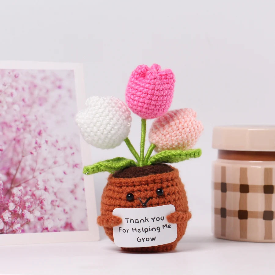 33 Styles Crochet potted tabletop Words of encouragement forget-me-not crochet orange convolia heart-warming ornament